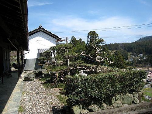Kamiyama’s own blue aoishi stones and a hedge form the outer walls of the garden, and inside we find some well tended trees. The owner’s personality shows in the layout of the garden.