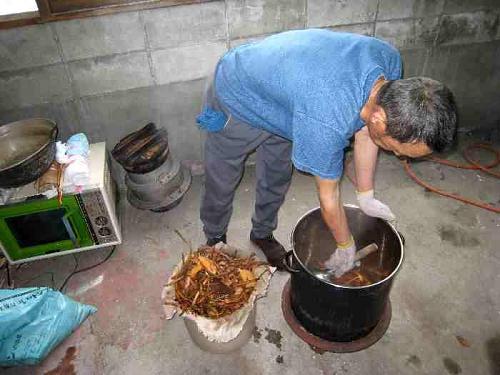 You boil the bark in a big pot and the resulting liquid is used as a dye.