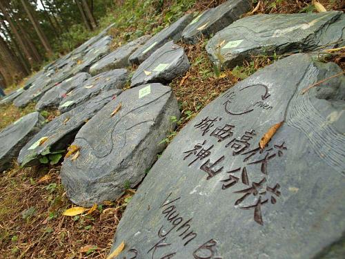 Stepping stones engraved with a design which represents Kamiyama's Akui-gawa River
