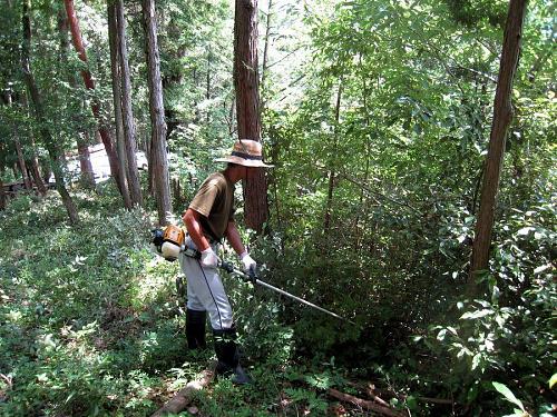 Mr. Higuchiyama is pretty handy with a weedeater. His name means Fire Mouth Mountain, but he's actually a pretty cool dude!