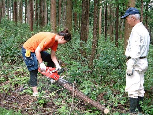 Helping out at the August Forestry Management Day