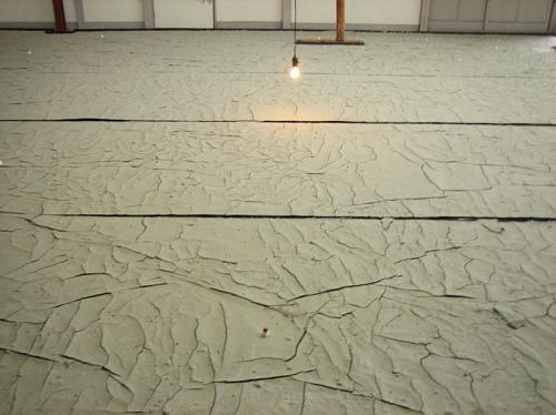 Taisuke Hayabuchi's work, entitled In the Dirt. It's a huge work, spanning about ten meters. 