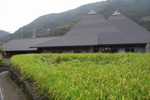 Walking to Michi no Eki from Uetsuno bus stop. That rice looks like it’s going to be harvested any day now! Probably the next sunny day.