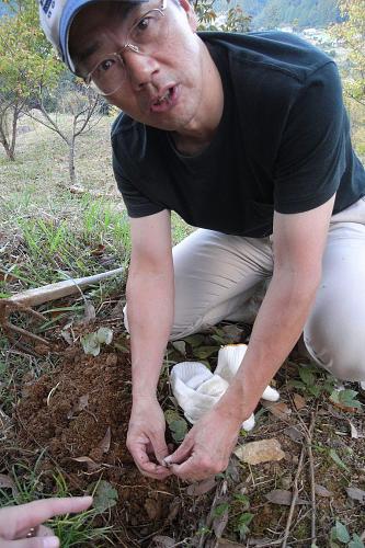 Our local flora and fauna guide, Mr. Ominami, generously dug up a root for me and Aki Rika to try.