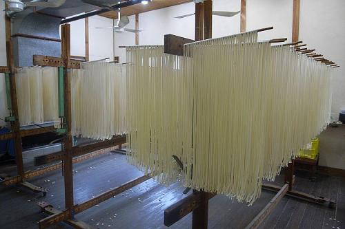Udon noodles drying
