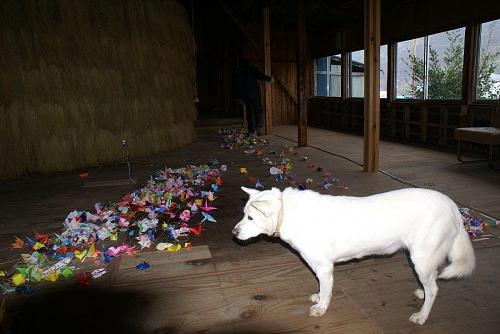 Chan's beloved dog Taiyo joined the work party.