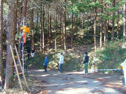 Eight university students came and helped out.