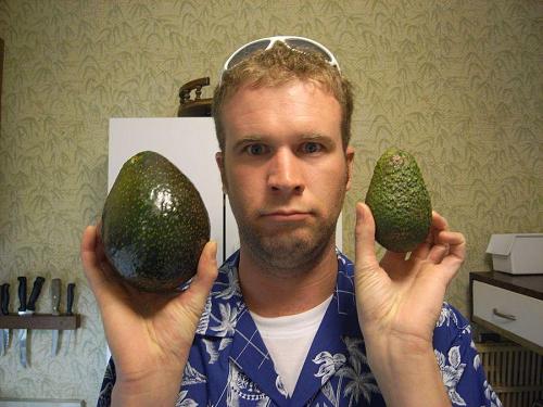 My little brother Geoff is the model in this avocado comparison. The one on the right, representing regular size, is actually rather large too. The mega-avo on the left had delicious soft flesh inside. We bought it at a farmer's roadside stand on the way back from Hana. 