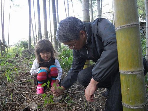 Mr. Ominami explained to Sofie all about how bamboo works.
