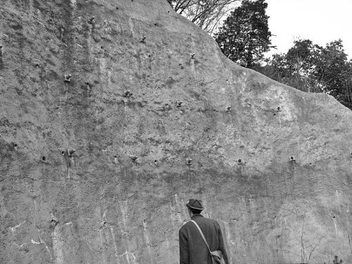 An entomologist man looking at spray-applied concrete, carefully.