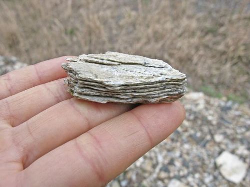 Wafer rock specimen A