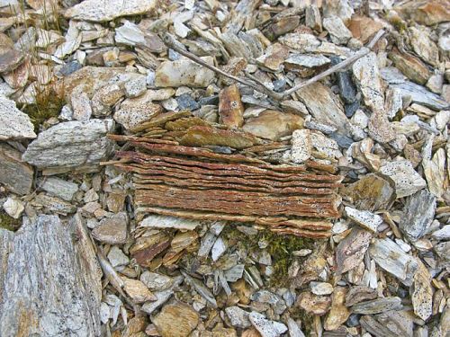 Wafer rock specimen D