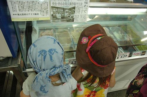 The ice cream is made in Kamiyama, and many of the flavors incorporate local seasonal ingredients