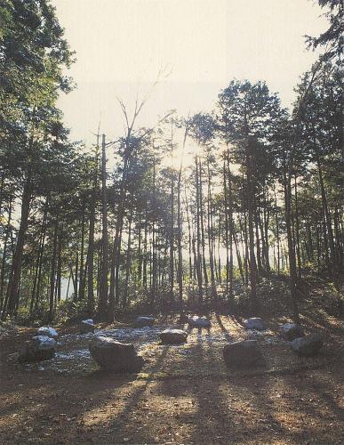 Strijdom van der Merwe “Contouring Lines on Stones to hold human time” 2003