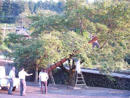 仕事師と講釈師どっちも重要です。幸ちゃん空はのぞけたかな。