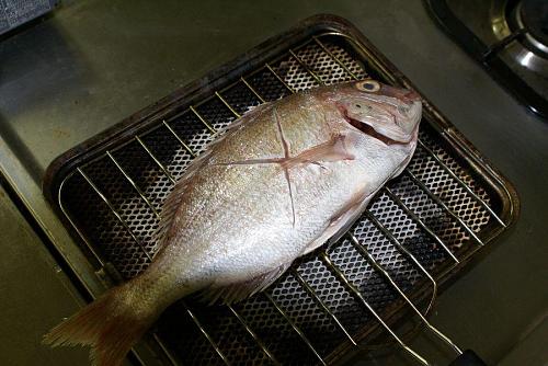 鳴門鯛を使った鯛飯の下準備