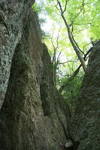 これがアマテラスの神が隠れたといわれる巨岩。