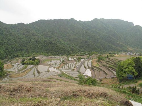 湯舟さんからのぞむ中山の棚田