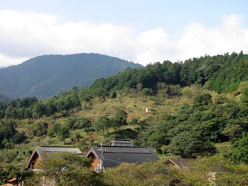 大粟山（255m）の東斜面中腹に移設された『杣径』（KAIR2009安岐理加作）。対岸にある神山温泉（写真手前）から歩いて５分ほどの距離です。