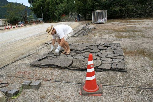 なんだ、なんだこの不思議な動きは・・・。