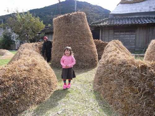 カメロンさんの作品の中でかくれんぼ。