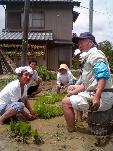 これが本日の主なメンバー。苗取りという作業中。これから育つ土地によく慣れて育つ様に、植える田んぼに直接、苗立てをした豪君。こだわりの田作りらしい。