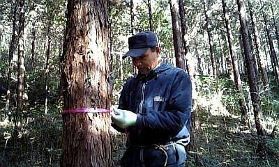 真剣に作業する岩丸さん。