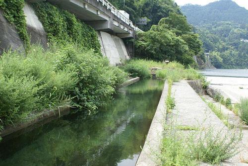 下流にある行者野や徳島市の入田町の水田を潤します