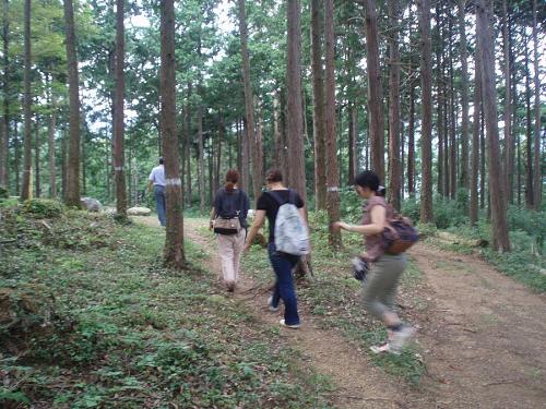 トトロはいないだろうか。