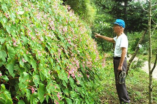 もり園長の説明を受ける