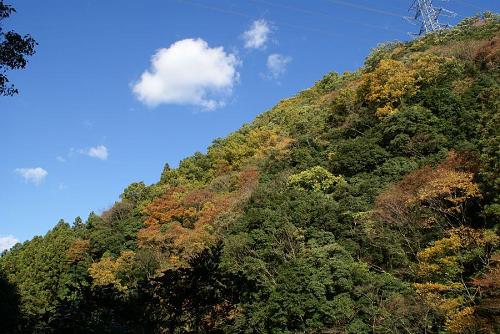 山全体の紅葉までもあと少し・・・。