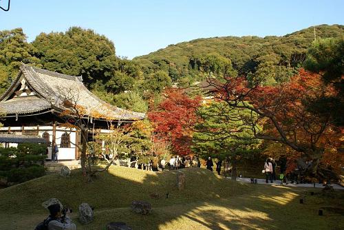 見事な庭園と紅葉