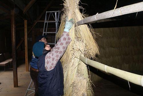 次いで麦わらを外す作業