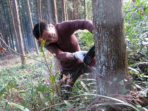 倒したい方向に、まず「受け」を作ります。顔や肩に力が入ってますねぇ・・・（笑）