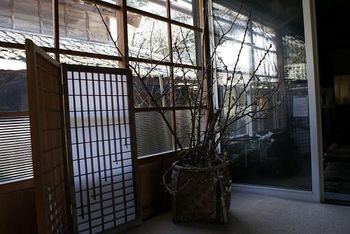前にも増して素敵に変身しています。
