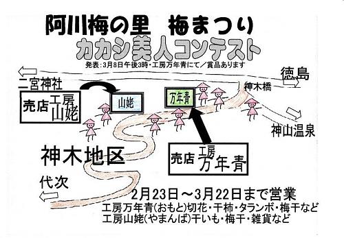 阿川小学校に駐車し、県道を徳島市方向に約800ｍ下ったところにある神木（じんぎ）橋からスタート。梅林の中を潜り抜けながら代木地区を通り、小学校まで周遊できます。昔どこかで見たような、懐かしい風情が楽しめます。