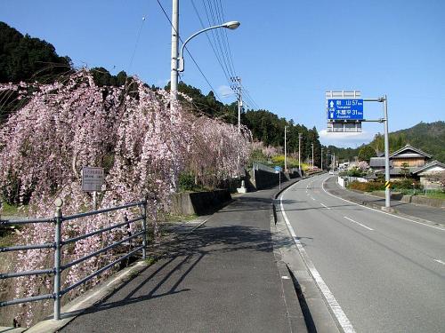 国道438号沿い（鬼籠野字西分）　2009年３月24日09：01撮影