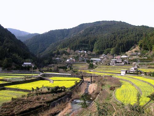 集落入口（通称トンネル口付近から）・2009年３月18日08:25撮影