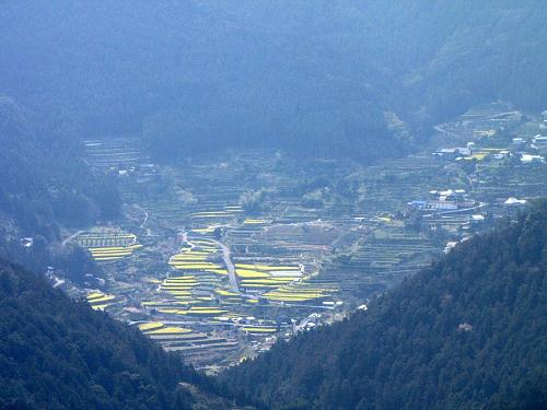 集落対岸｢西ノ名地区｣クボ・ポイントからの眺め。之、まさに桃源郷！2009年４月１日10:58撮影