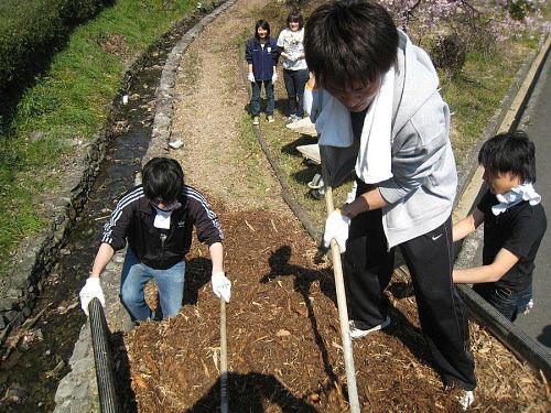 チップを遊歩道に１