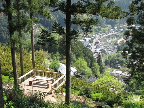 満開近い小西さん手づくりの展望台。ここからは、川又の町筋や遠くの山並みがきれいに見えます。（2009年４月29日09：49撮影）