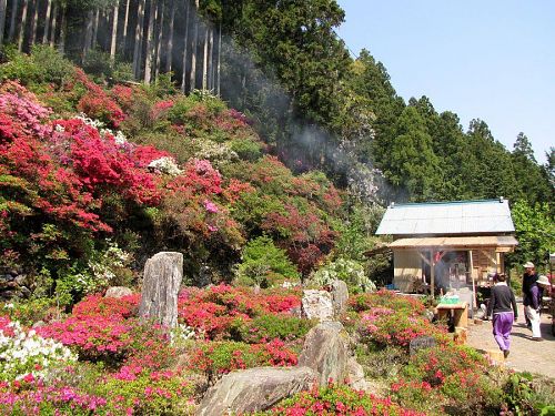 満開のキリシマツツジに、かまどから立ち上る青い煙がたなびく･･･。ほのぼのとして、心安らぐ情景です。（2009年４月29日10：01撮影）