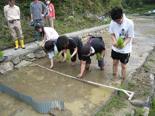 田植え開始１