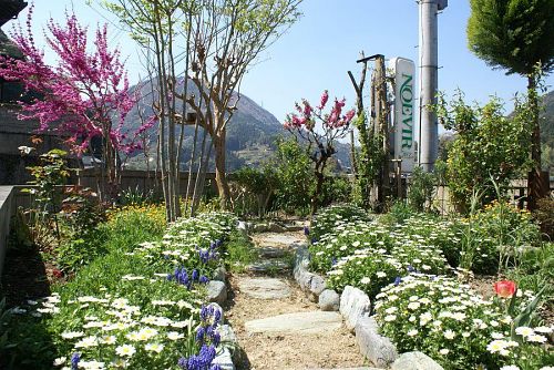 この時期春の花壇の花も終わり次の季節の苗を植えつける。