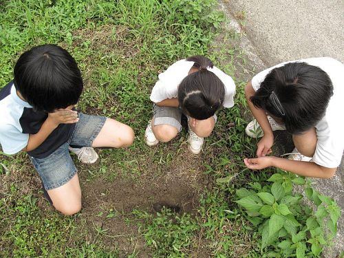 途中でモグラが死んでいたので土に埋めてみたり