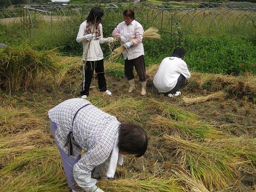 朝から手伝ってくれたお母さん方。女の子がレクチャーを受けています。