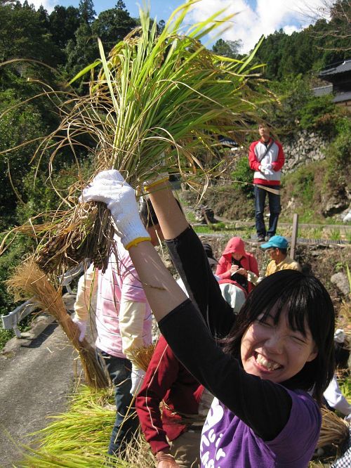 またしても穫ったどー!!