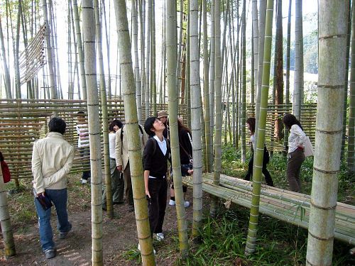 栗生野に完成しているキャメロンさんの竹林の作品を体験。｢教えてください神様！私は（竹林の）賢人でしょうか・・・（笑）