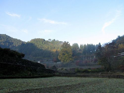 朝、早めに出かけると、情景が日の出とともに刻々変化。（2009年11月26日08:12 撮影）