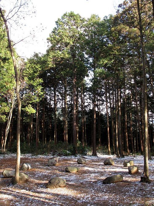 今年はどんなアートにめぐり合えるか・・・？（撮影：2010年１月１日09:45＠大粟山）